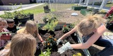 Teacher Classroom Grants